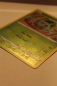 Preview: Bulbasaur (Bisasam) | 001/078 | Pokémon GO | Englisch | Common | Reverse-Holo | Pokémon