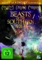 Preview: Beasts of the Southern Wild - (Vermietrecht) - Einzel-DVD - Neu & OVP